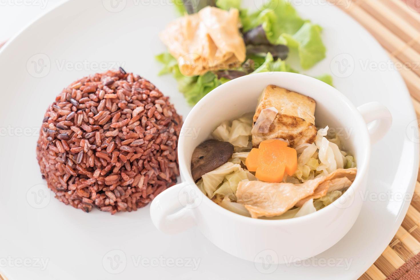 soupe aux choux farcis avec riz aux baies et tofu photo