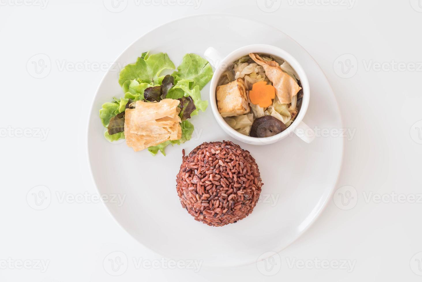 soupe aux choux farcis avec riz aux baies et tofu photo