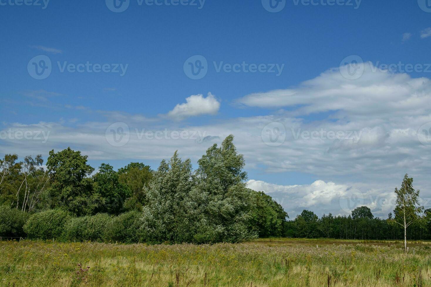 en retard été dans westphalie photo