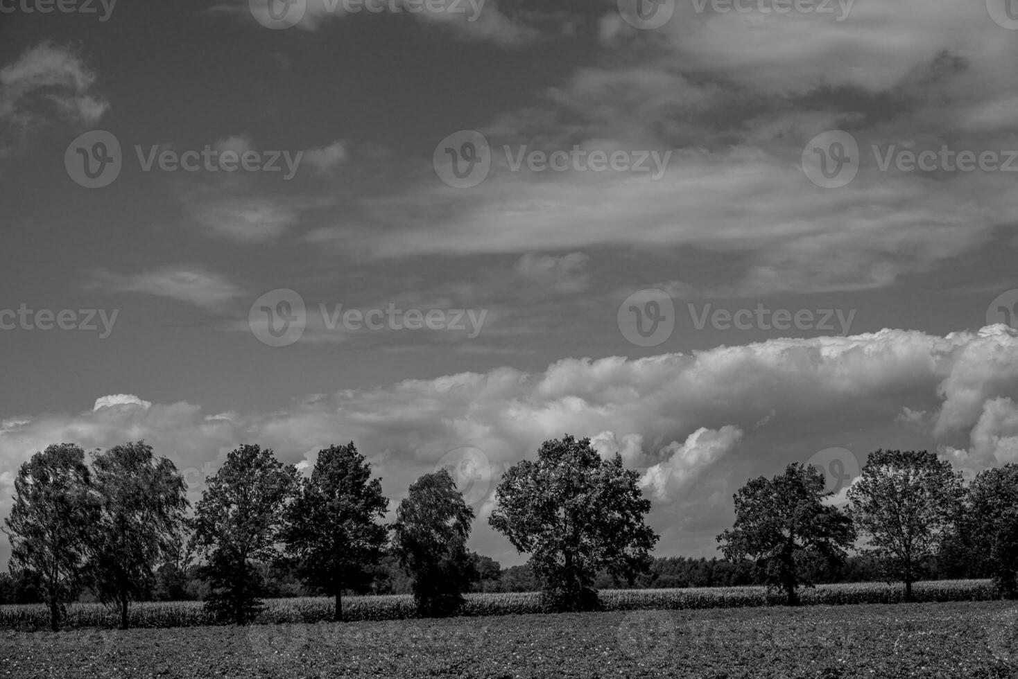 heure d'été en westphalie photo