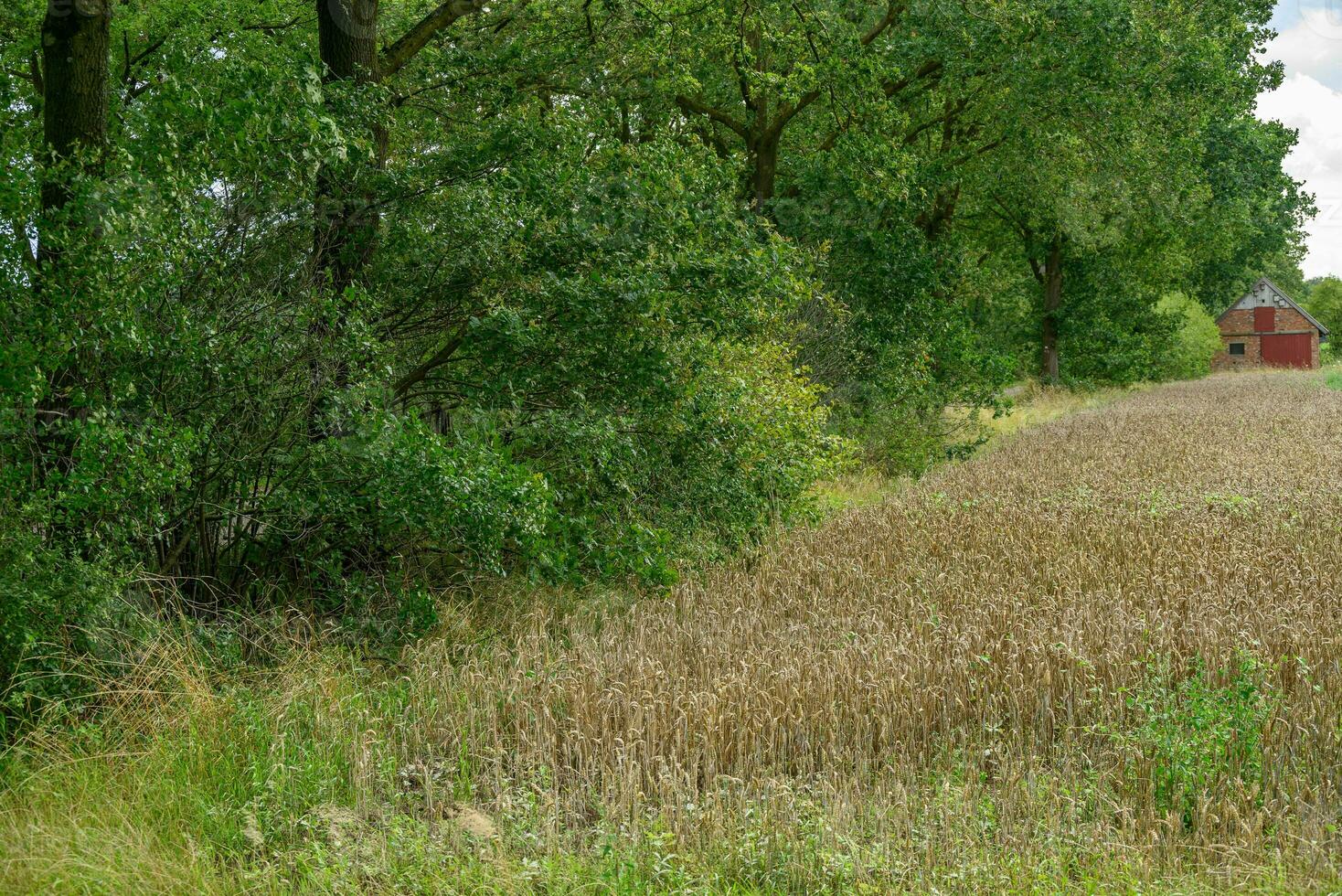 heure d'été en westphalie allemande photo