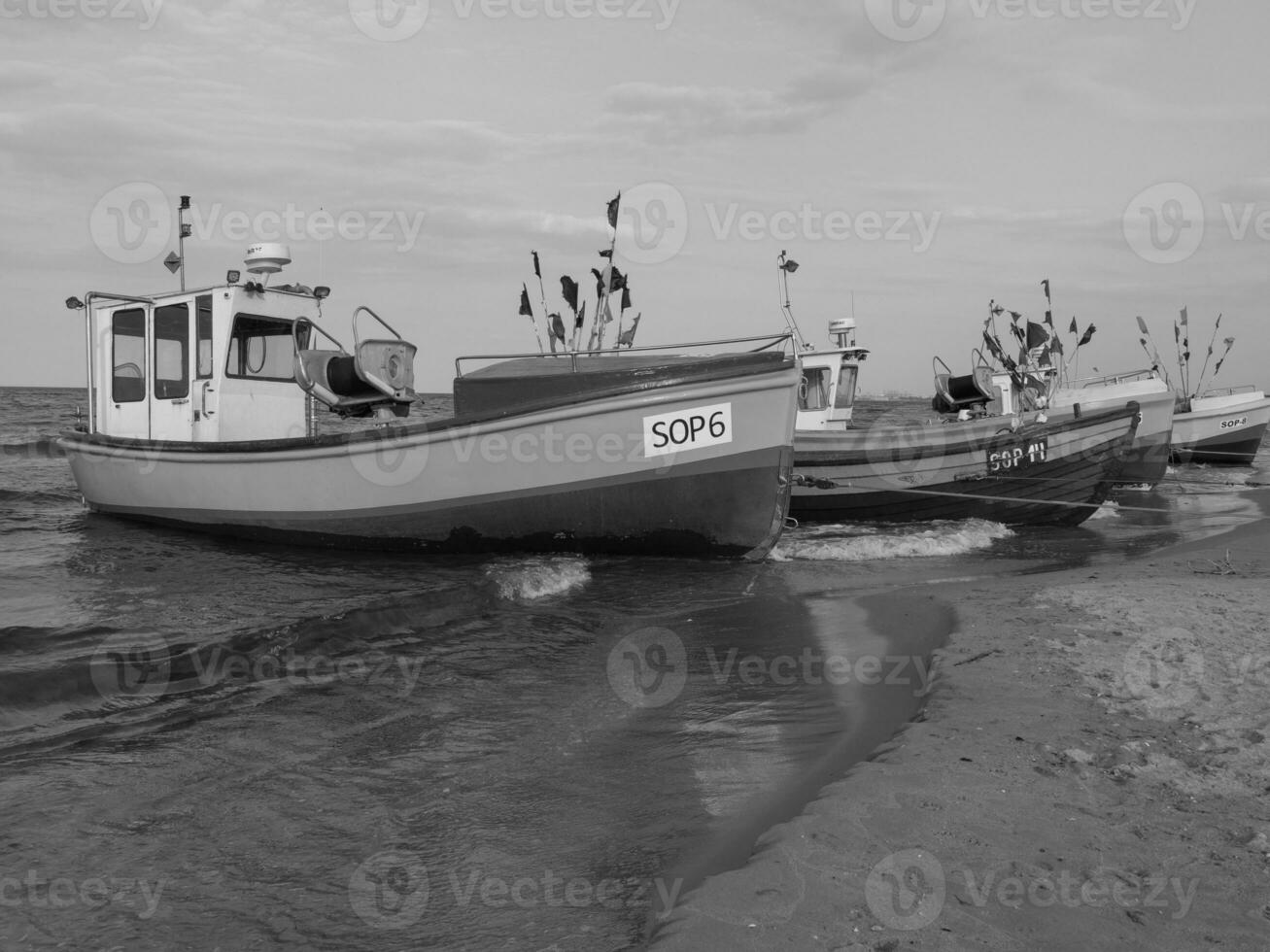 le baltique mer près gdansk photo