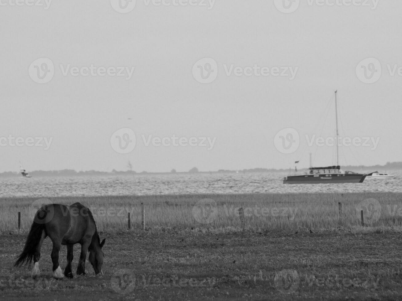 été temps sur jus île photo