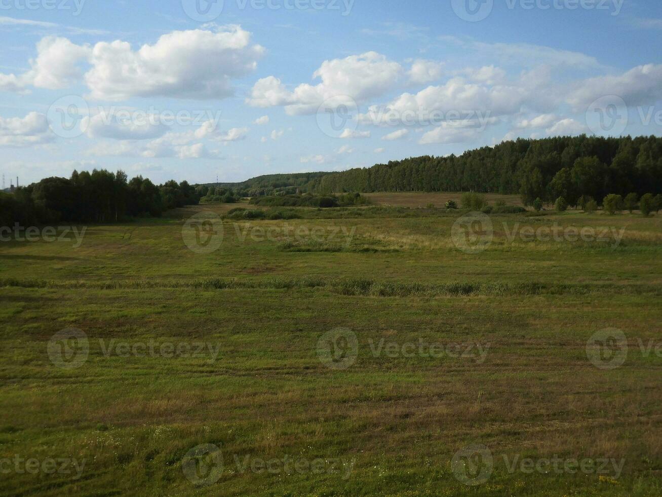 magnifique paysage de vert Prairie avec forêt et bleu ciel avec en volant des nuages photo