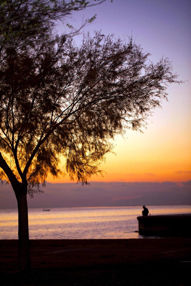 arbre et un homme solitaire près du bord de mer photo