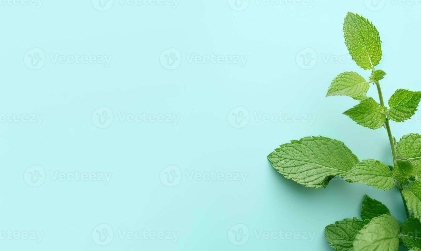 Frais Prairie menthe feuilles brindille sur une pastel bleu Contexte. établi par ai photo