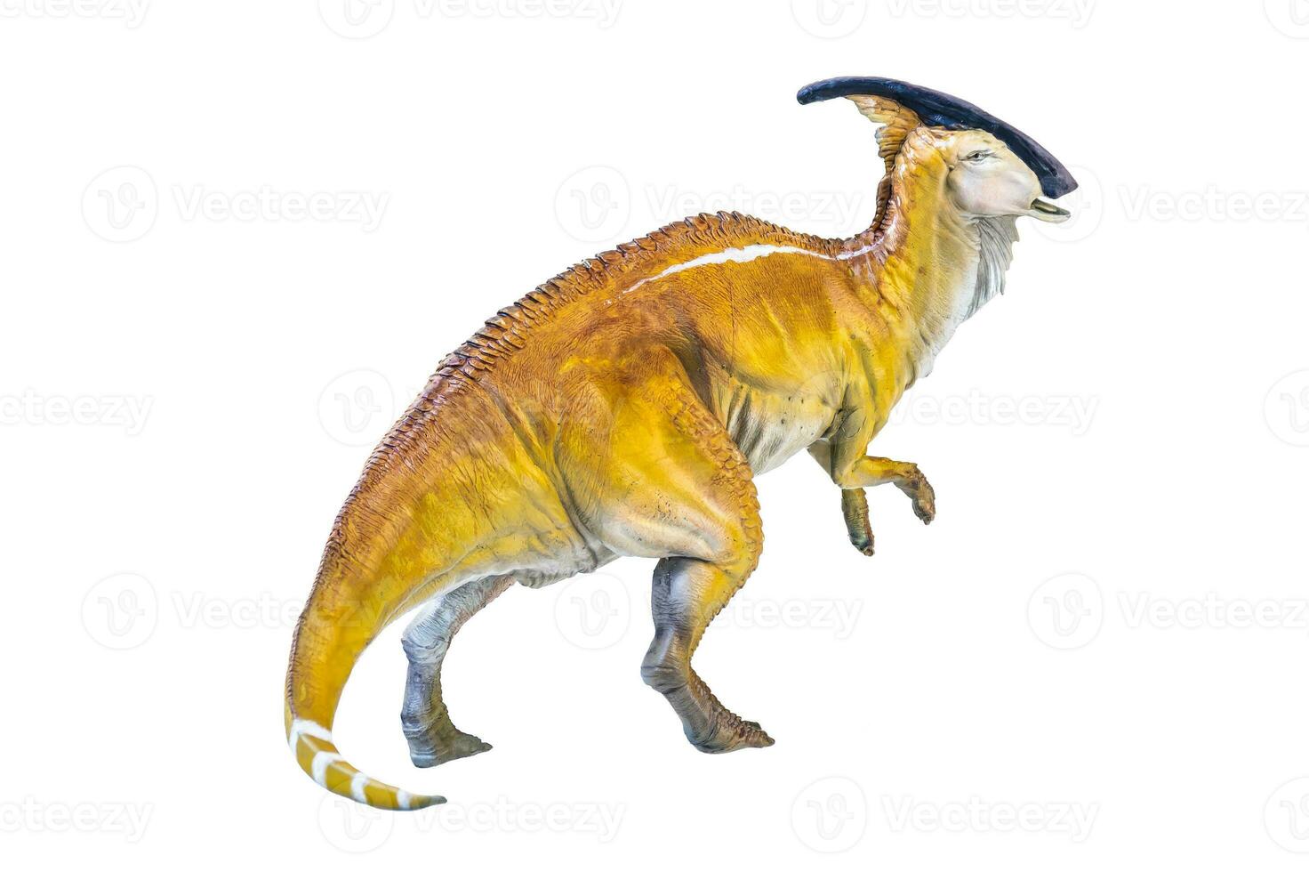parasaurolophus dinosaure isolé Contexte photo