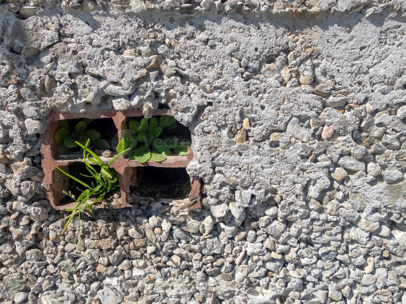 mur fait de diverses pierres avec une petite fenêtre en fer sur la gauche photo