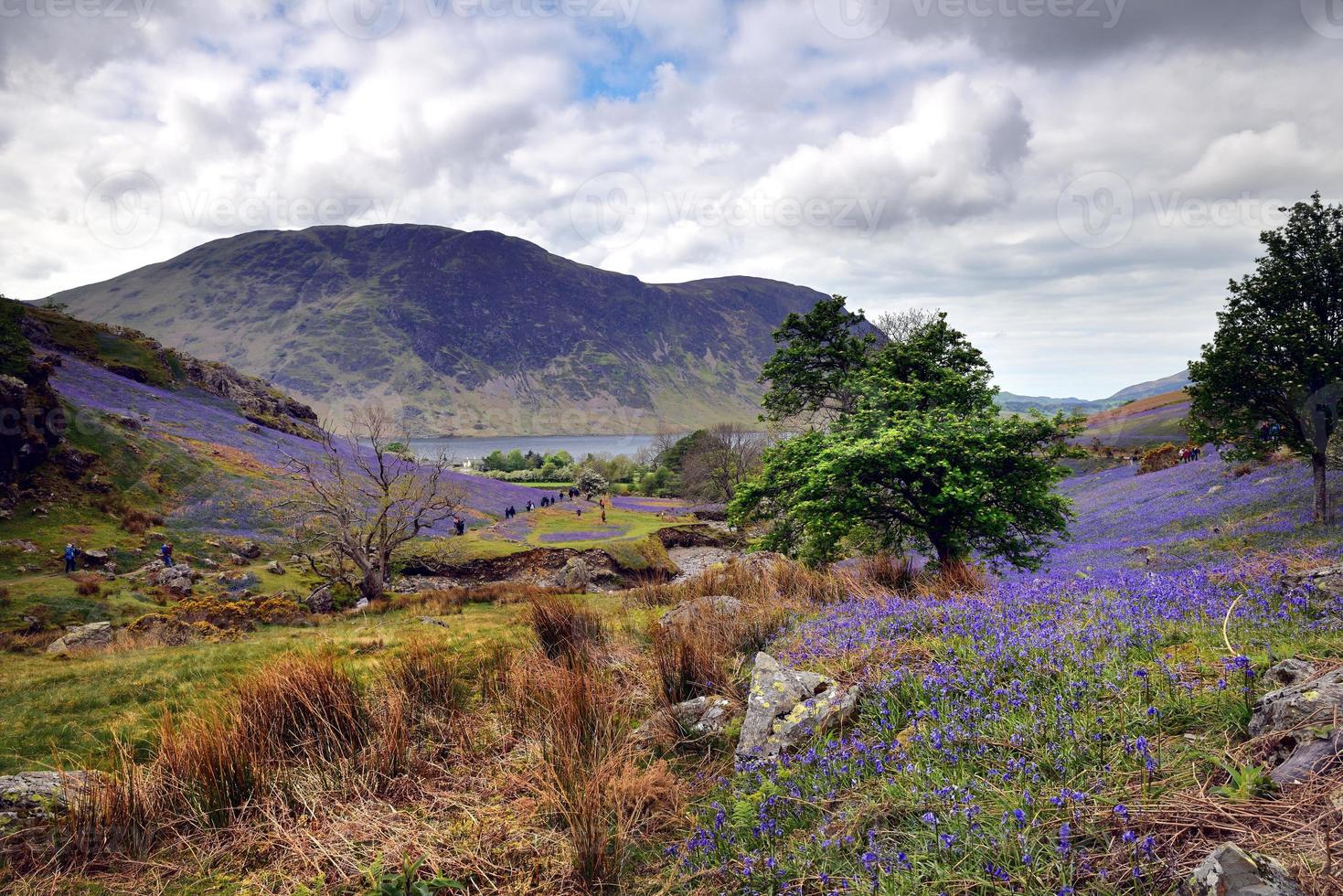 les touristes et les cloches bleues de rannerdale photo