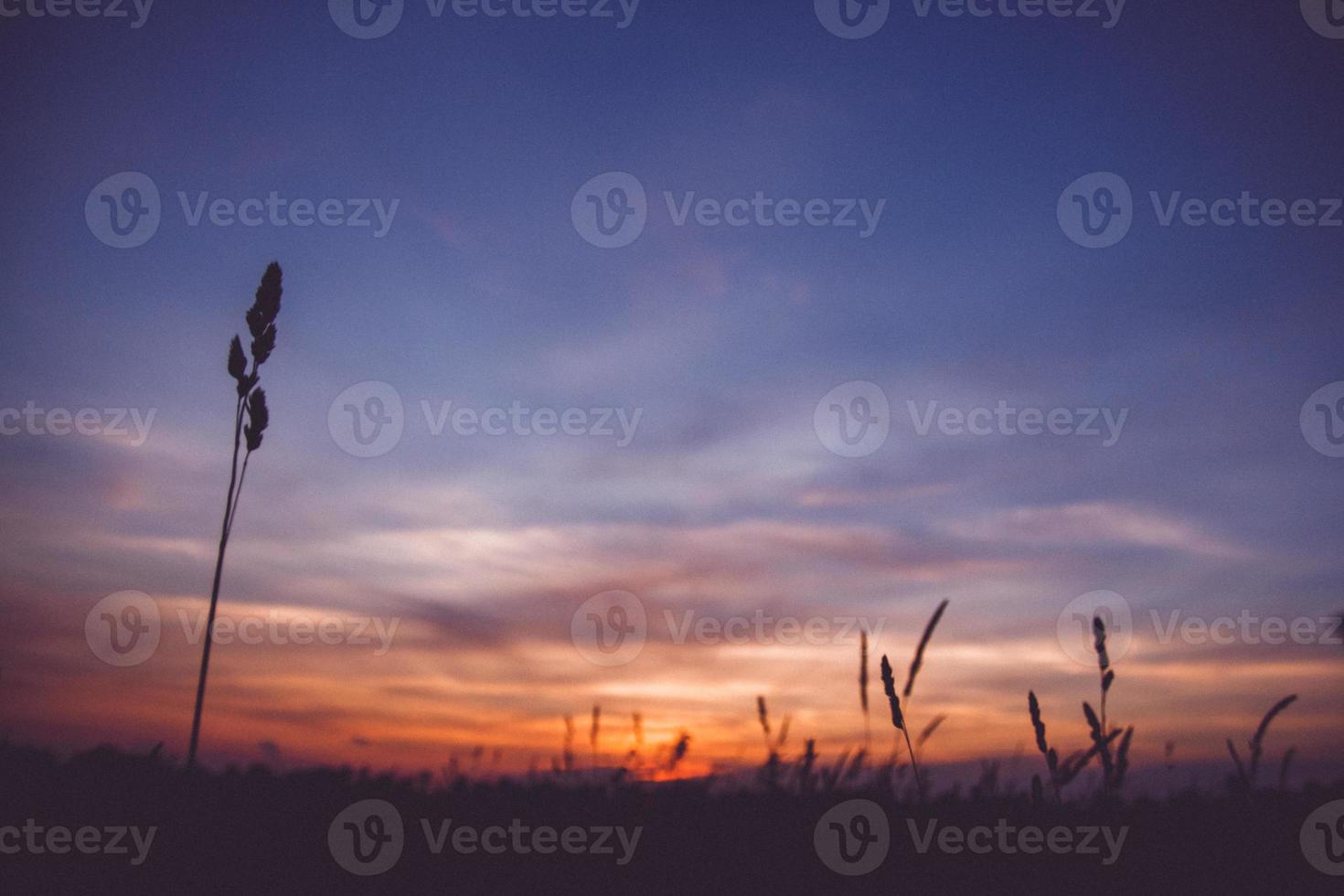 coucher de soleil ciel nuages photo