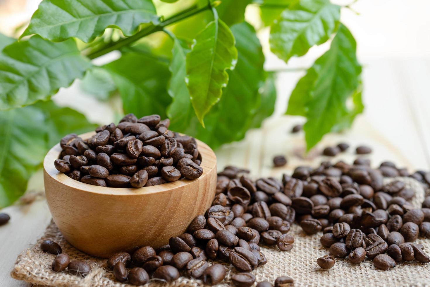 grain de café torréfié moyen dans un bol en bois avec feuille photo