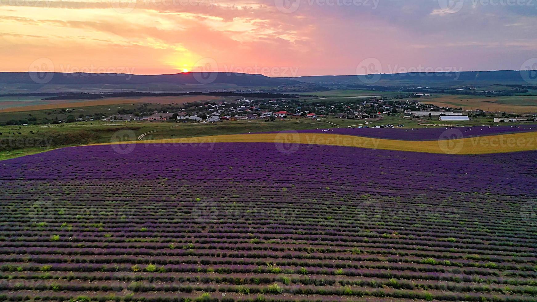 vue aérienne du champ de lavande dans les rayons d'un beau coucher de soleil. photo