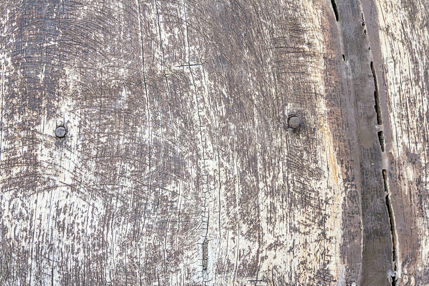 proche en haut de une bois panneau texture - vieux en bois planches Contexte avec des fissures et ongles photo