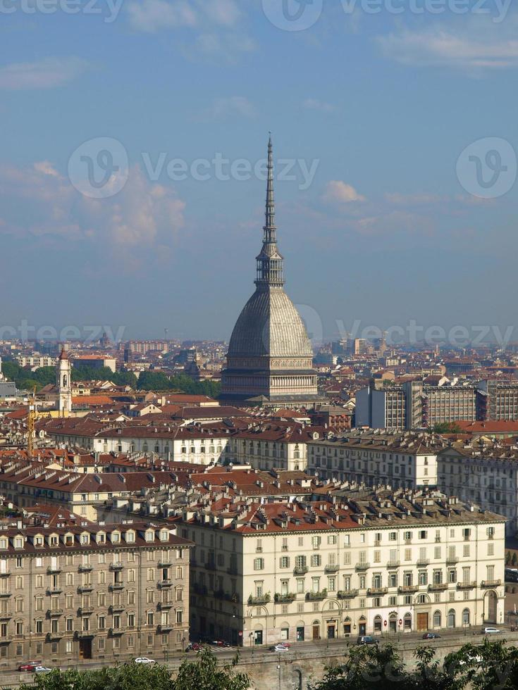 taupe antonelliane, turin photo