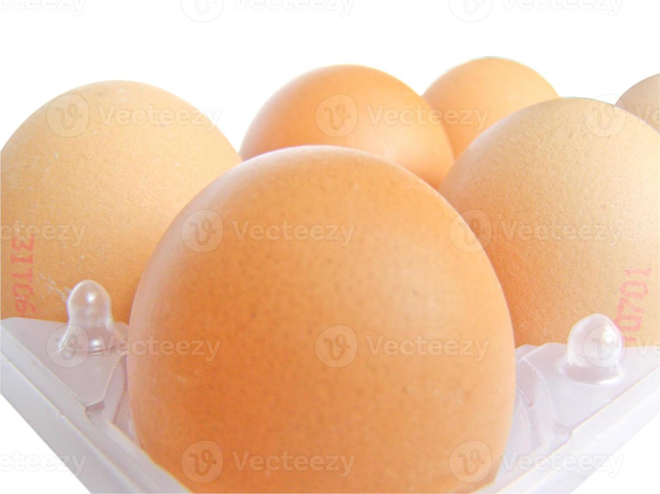 carton de six œufs photo