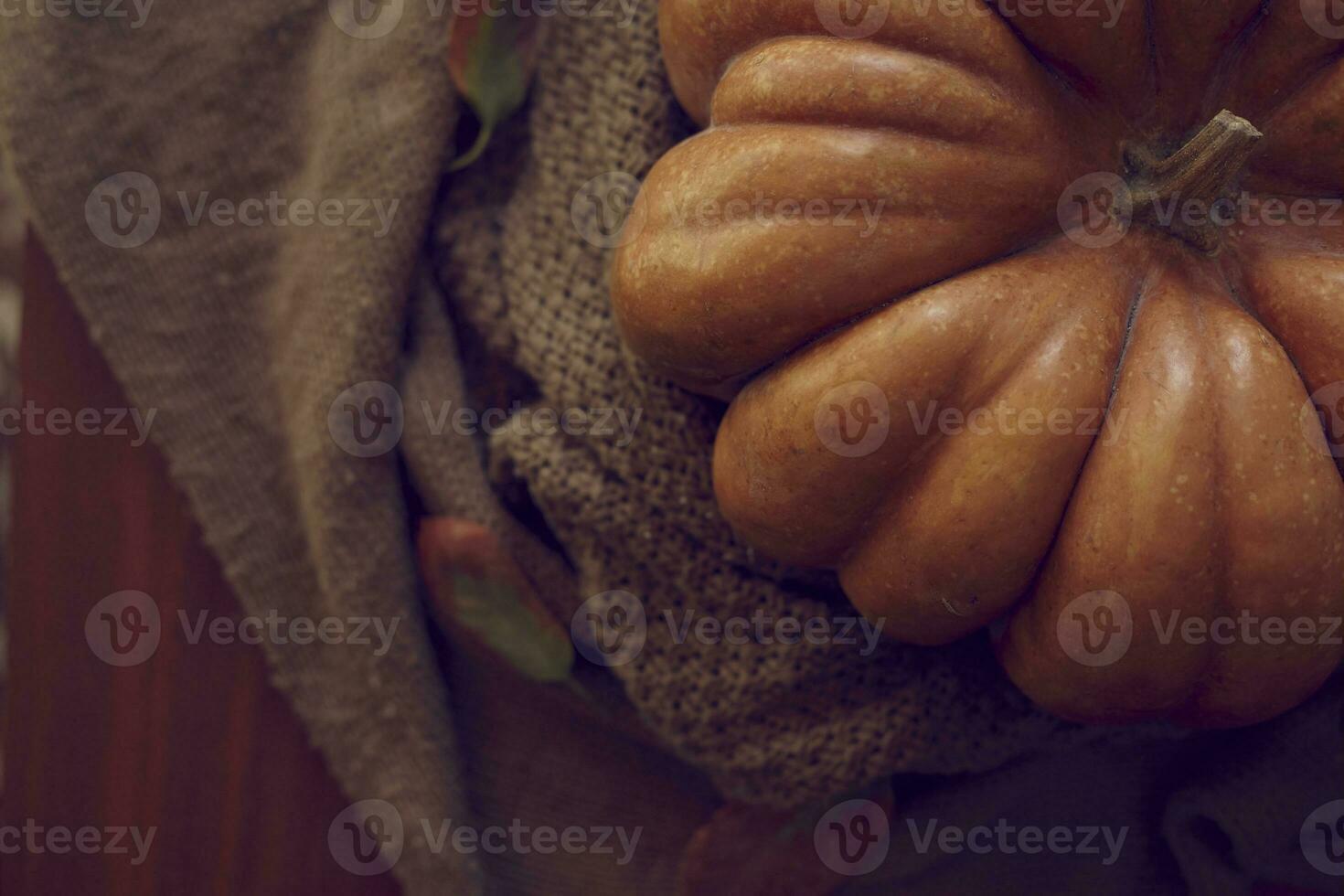 rustique l'automne citrouilles photo