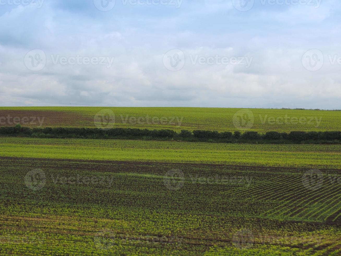 paysage de campagne anglais photo