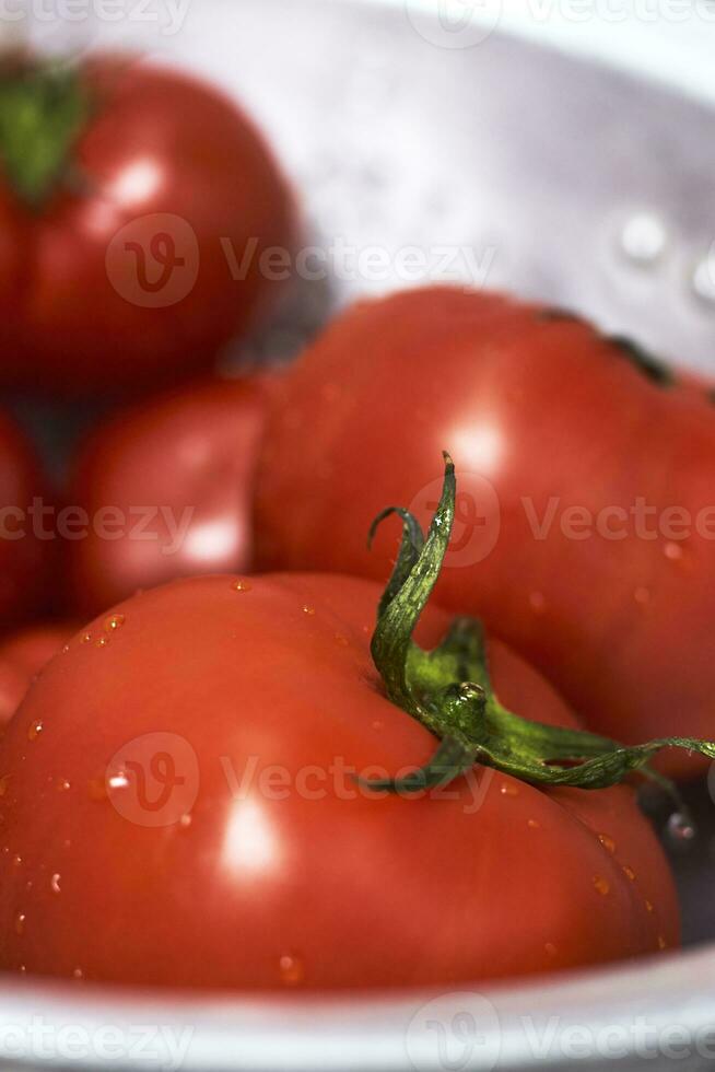 femme la lessive fraîchement choisi biologique tomates dans passoire photo