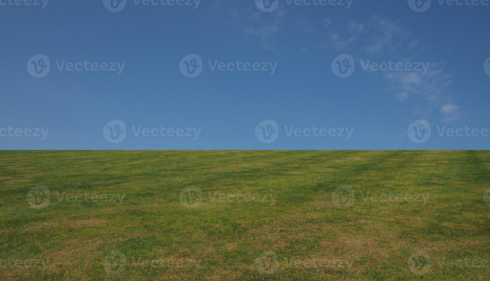 herbe et ciel photo