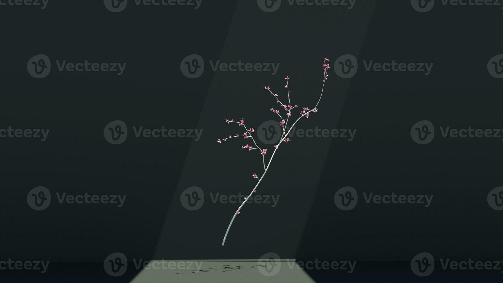 doux blanc Sakura Cerise branche flottant dans le air photo