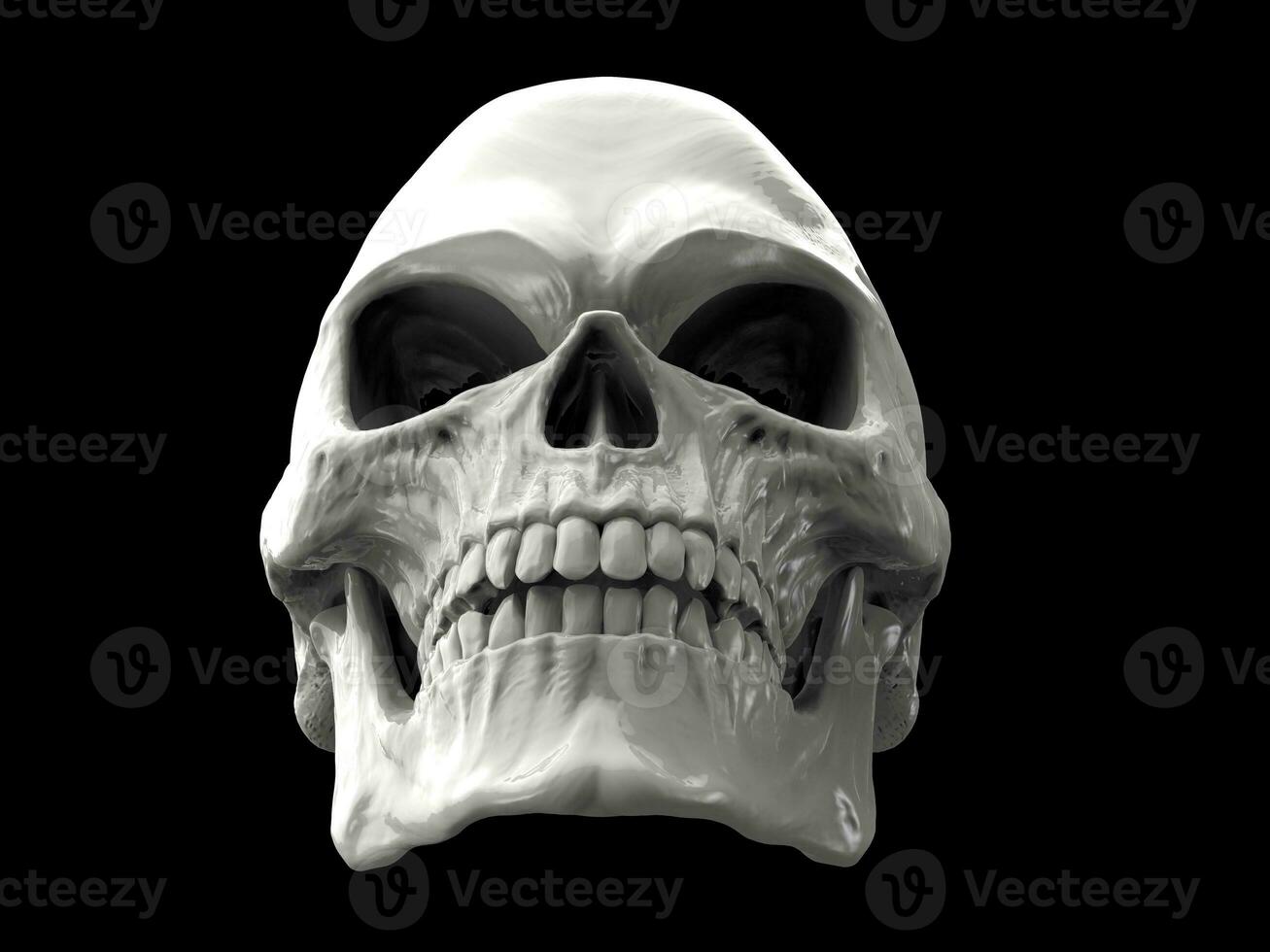 brillant blanc crâne - faible angle coup photo