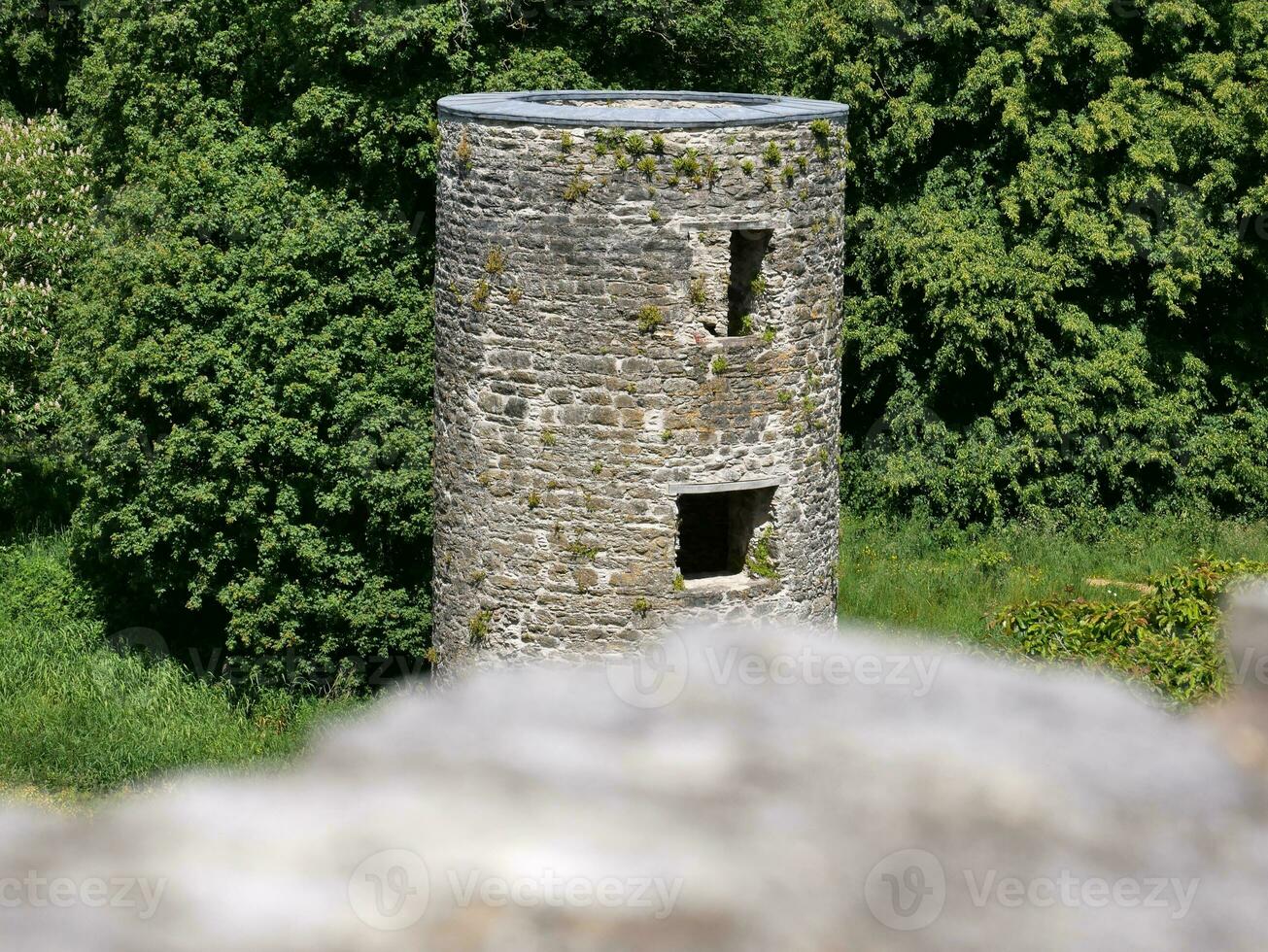 vieux celtique Château la tour parmi le des arbres avec flou pierre dans le devant, boniment Château dans Irlande, vieux ancien celtique forteresse photo