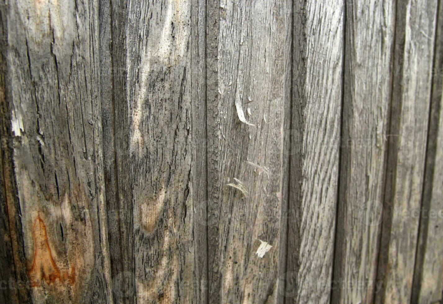 texture de clôture en bois photo