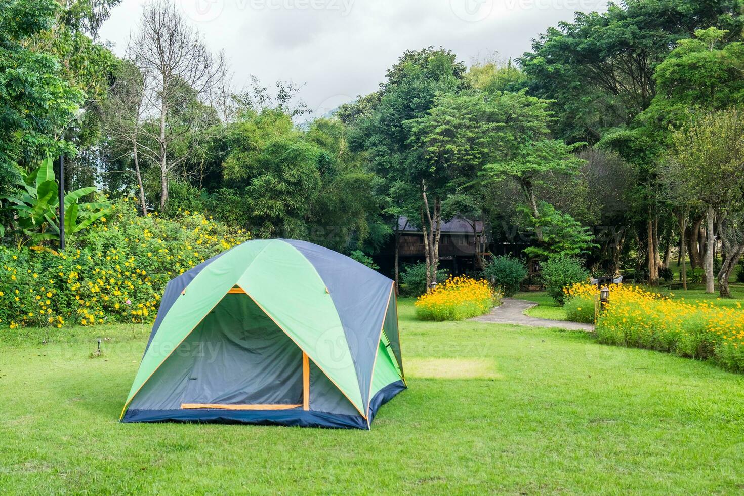 tente camping relaxant sur pelouse arrière-cour photo