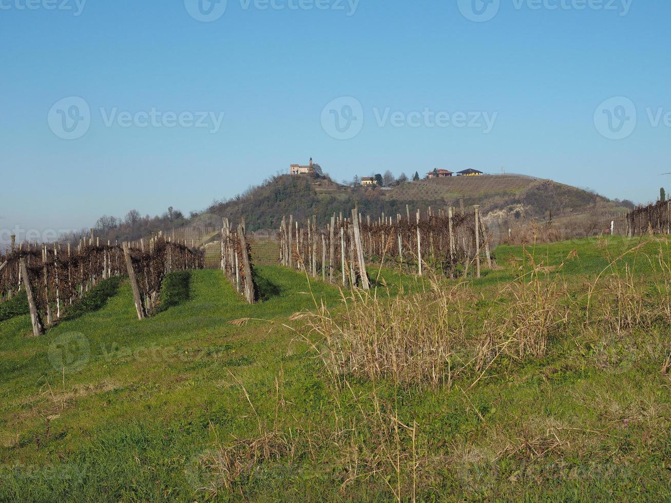 collines du roero en piémont photo