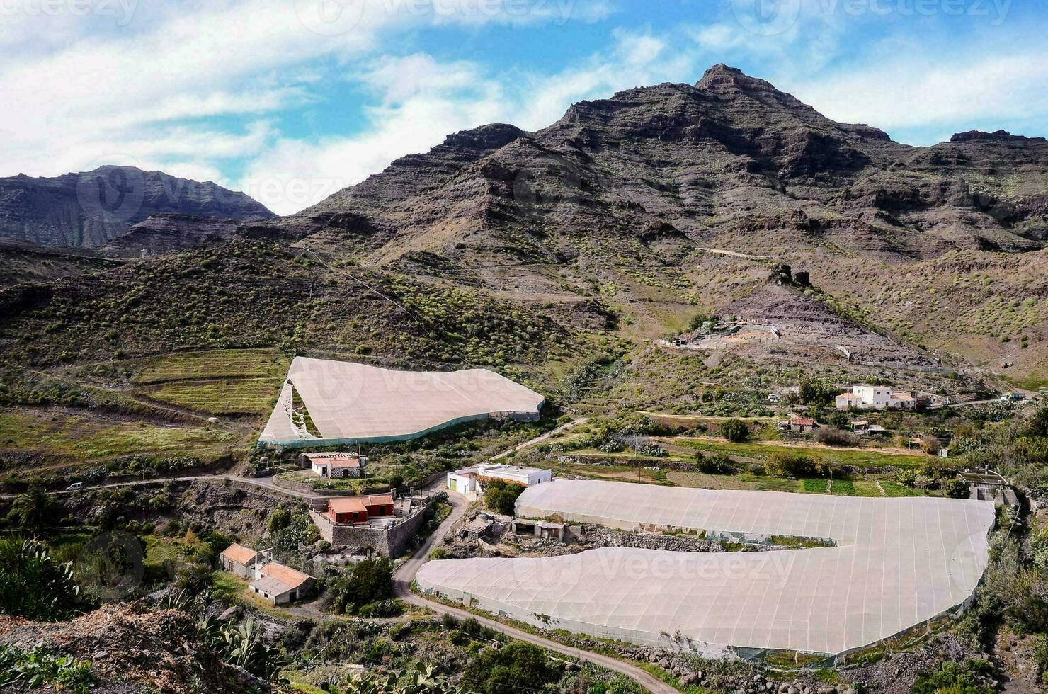 le montagnes sont couvert dans vert les plantes et des arbres photo