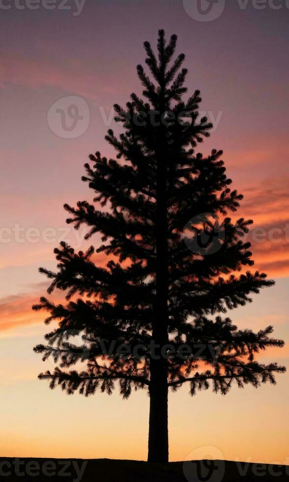 le silhouette de une Noël arbre contre une le coucher du soleil. ai généré photo