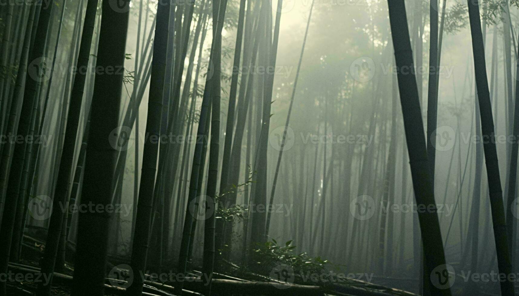 une dense forêt avec imposant des arbres ai généré photo