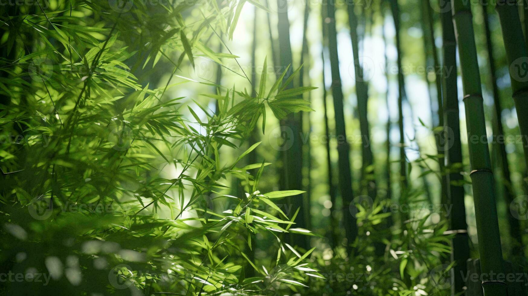 une magnifique bambou plante baigné dans lumière du soleil ai généré photo