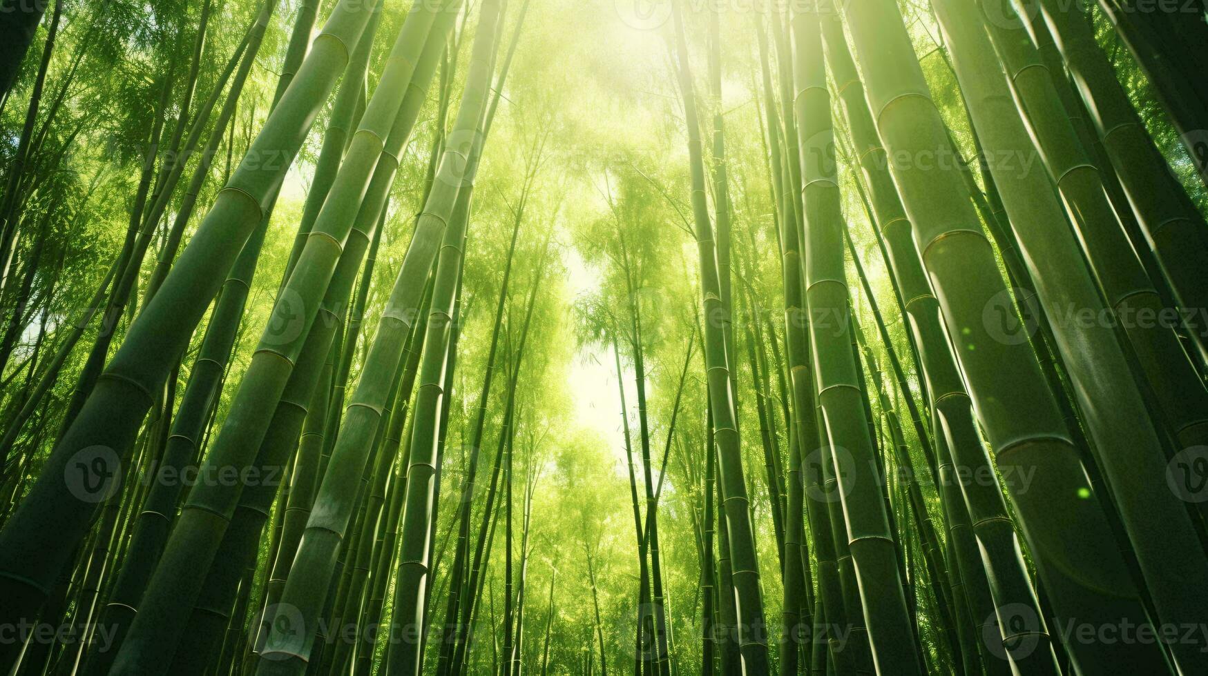 une fascinant bambou forêt avec lumière du soleil filtration par le imposant des arbres ai généré photo