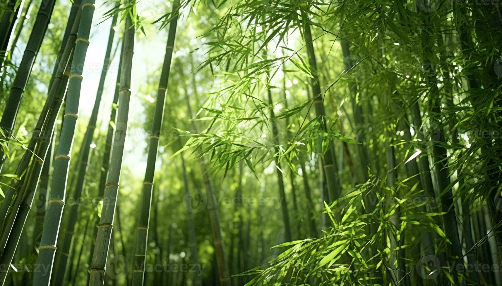 une groupe de bambou des arbres ai généré photo