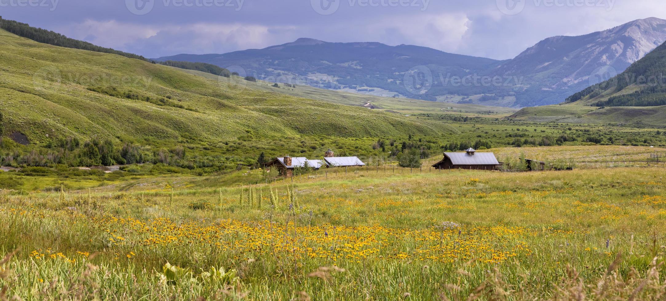 vue panoramique sur les granges dans la prairie de fleurs sauvages photo