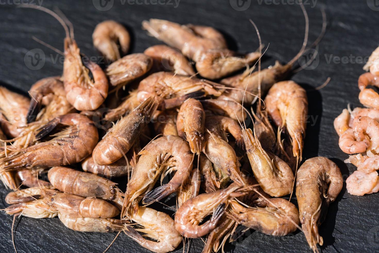 salade aux crabes frais de la mer du nord photo