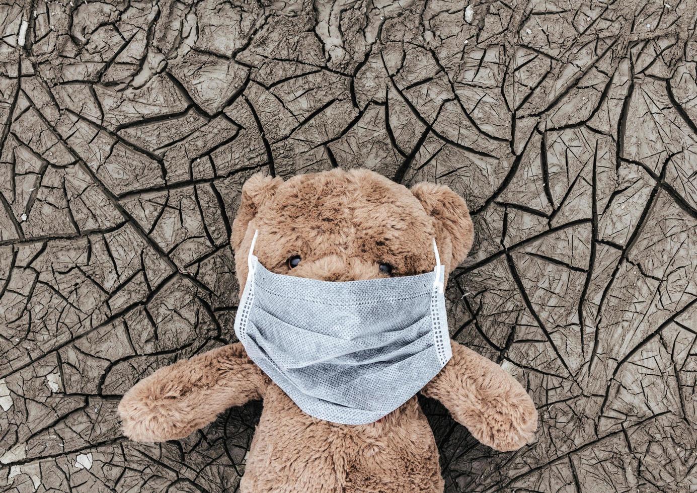 teaddybear dans un masque médical posé sur une terre sèche. photo