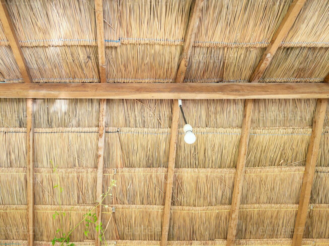 l'ampoule led est suspendue au plafond du chaume. photo
