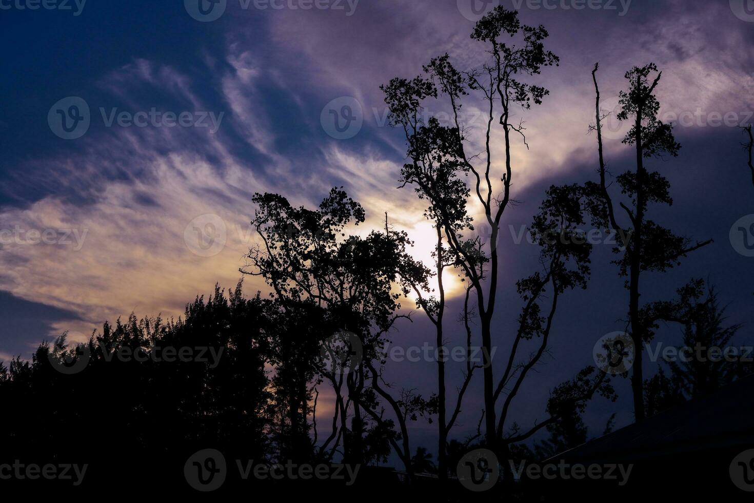 Photos de paysages, des plages, kalimantan