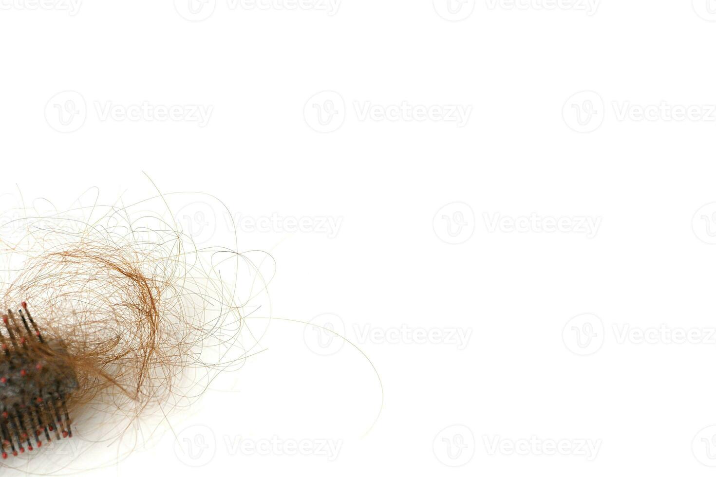 cheveux perte dans peigne, cheveux tomber tous les jours sérieux problème, sur blanc Contexte. photo