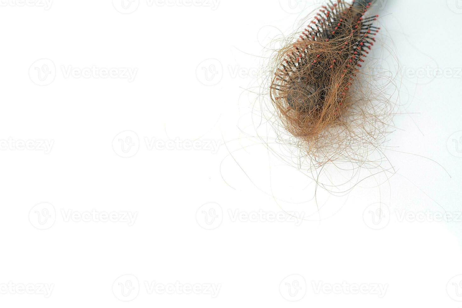 cheveux perte dans peigne, cheveux tomber tous les jours sérieux problème, sur blanc Contexte. photo