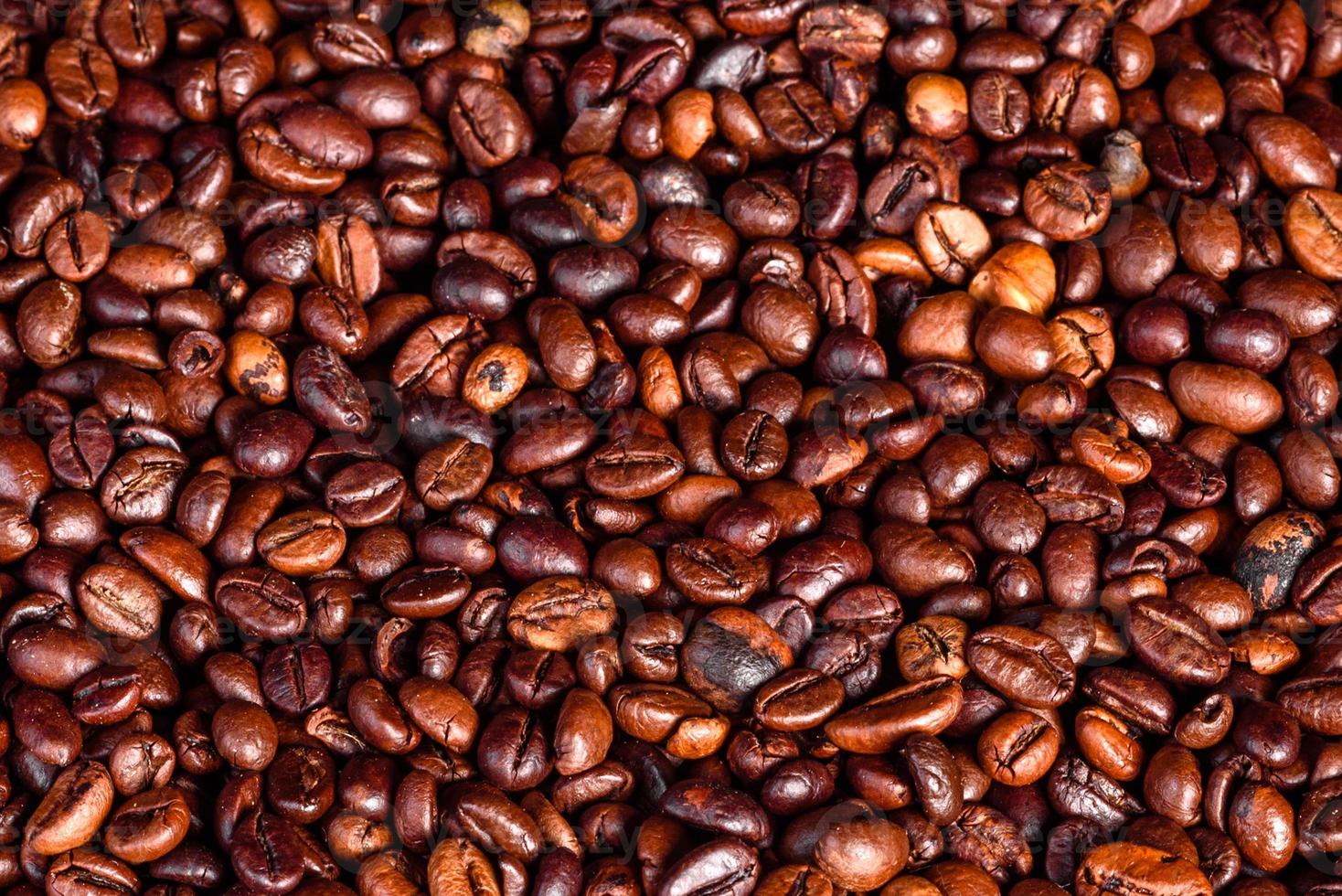 grains de café torréfié frais close-up sur un fond sombre photo