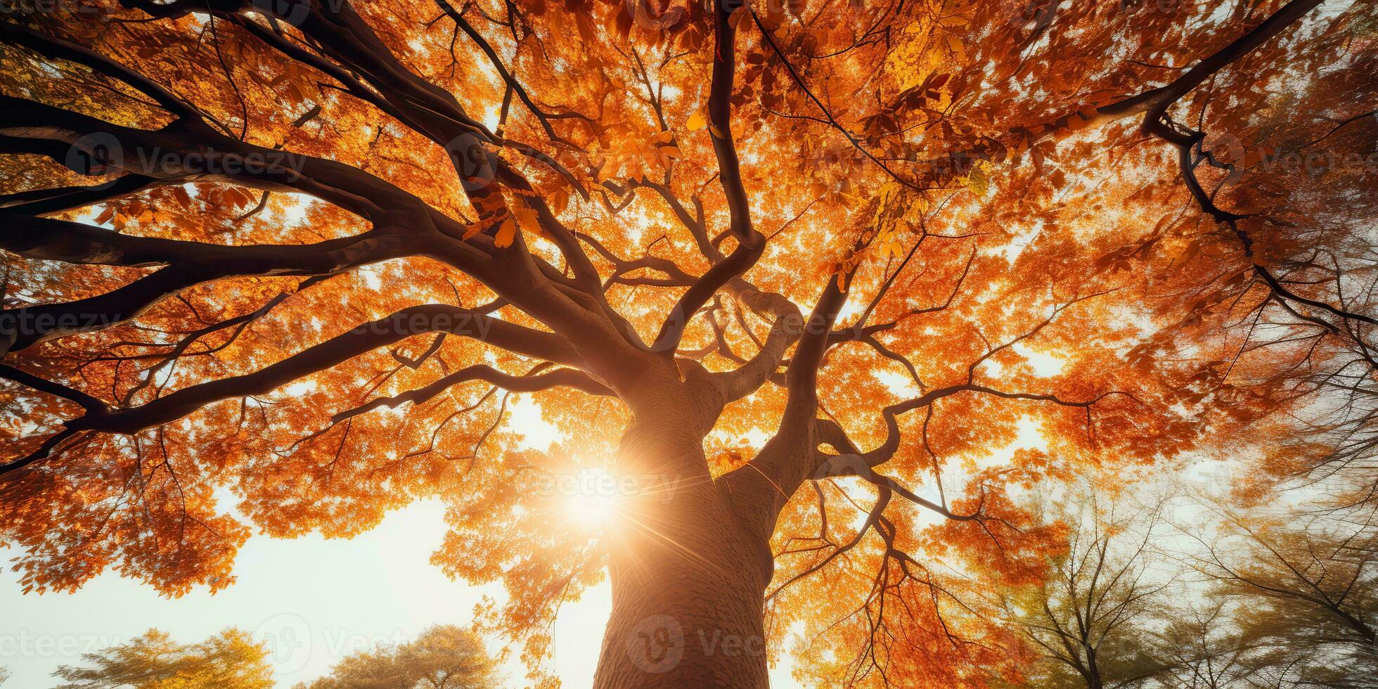 ai généré. ai génératif. l'automne tomber forêt arbre bas vue à le ciel. graphique art photo