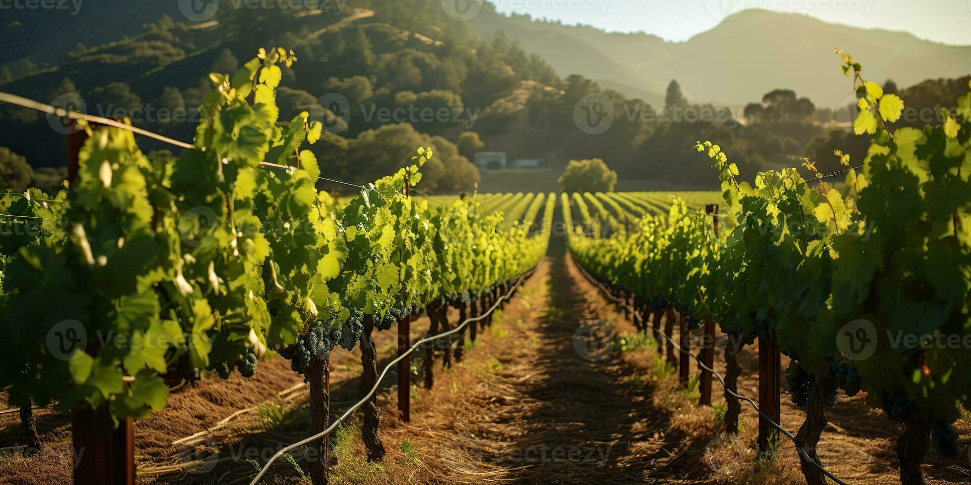 ai généré. ai génératif. vert Frais Extérieur la nature ferme campagne vignoble paysage Contexte. graphique art photo