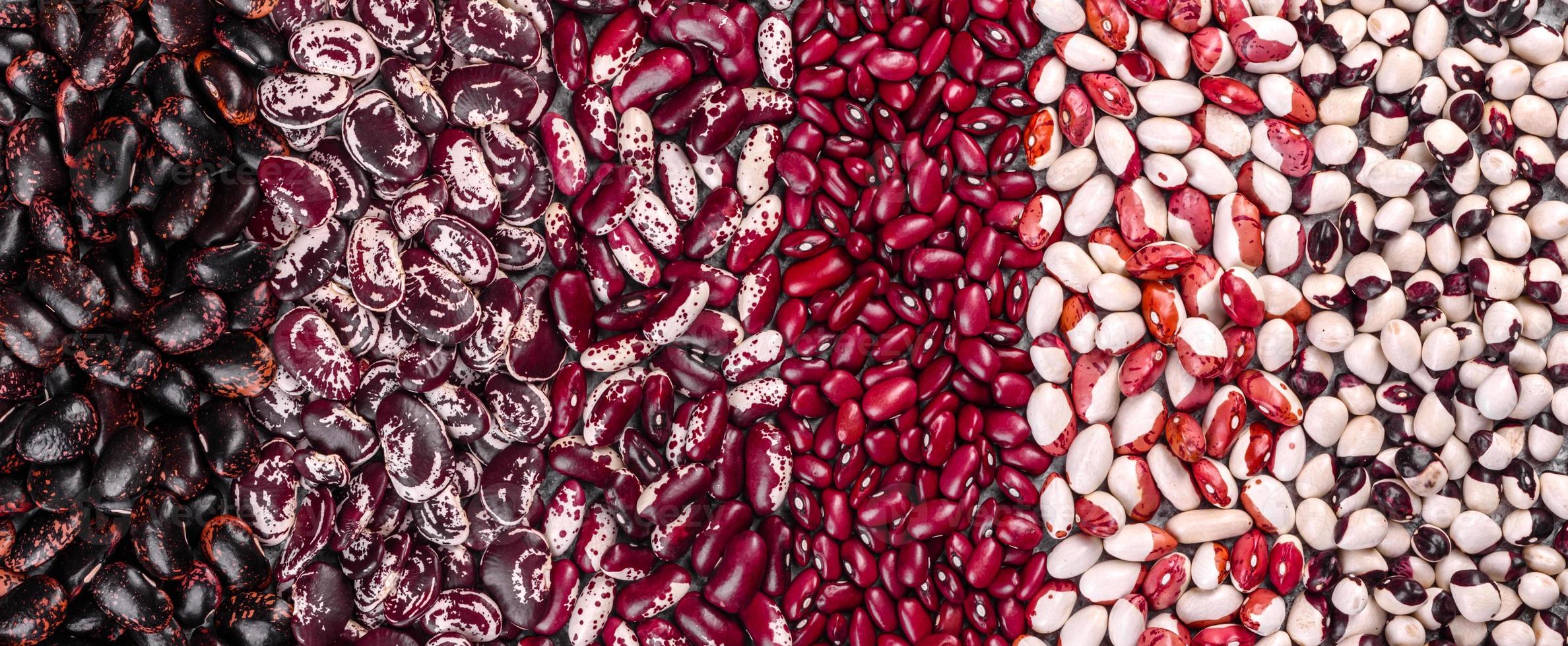 Sélection d'aliments santé légumineuses dans des plats en porcelaine blanche photo