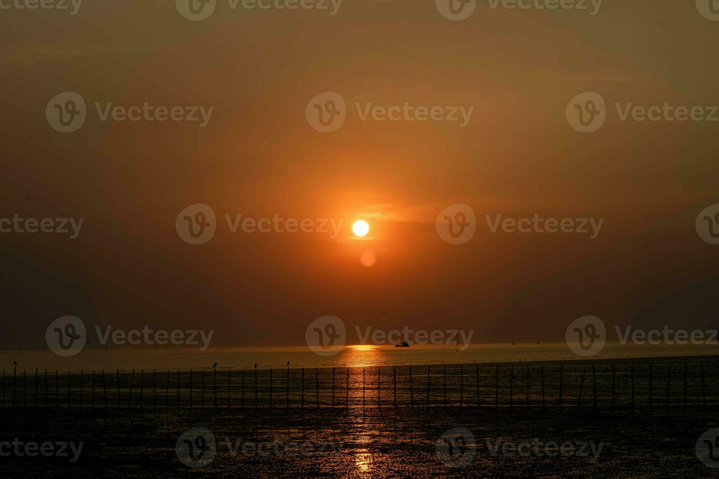 magnifique paysage de le coucher du soleil dans le soir avec différent Ton arrière-plan, bien pour général fins. photo