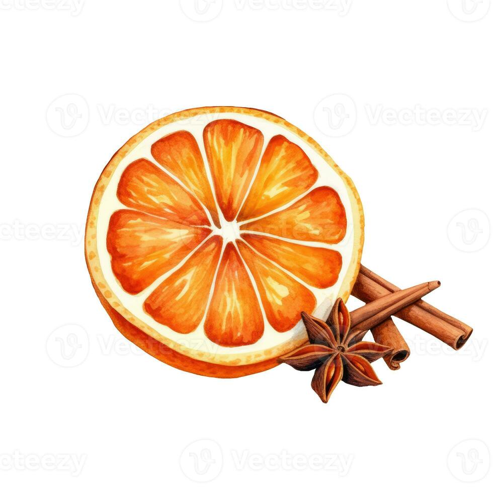 aquarelle sec Orange et cannelle sur blanc Contexte. en bonne santé Ingrédients photo