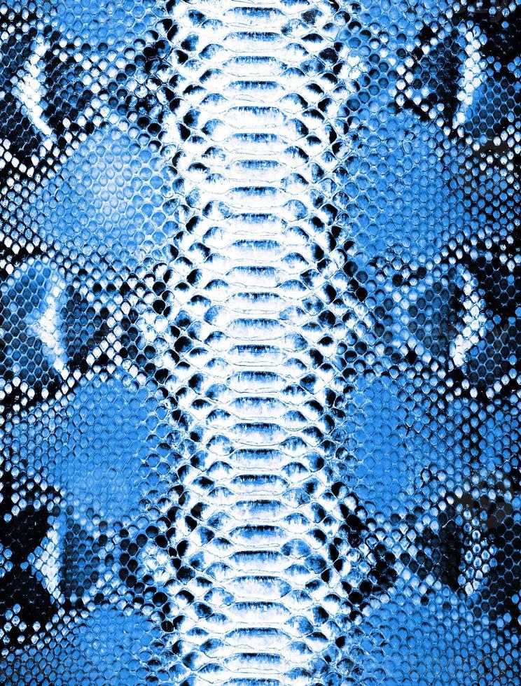 fond de peau de serpent. texture de reptile bleu exotique photo