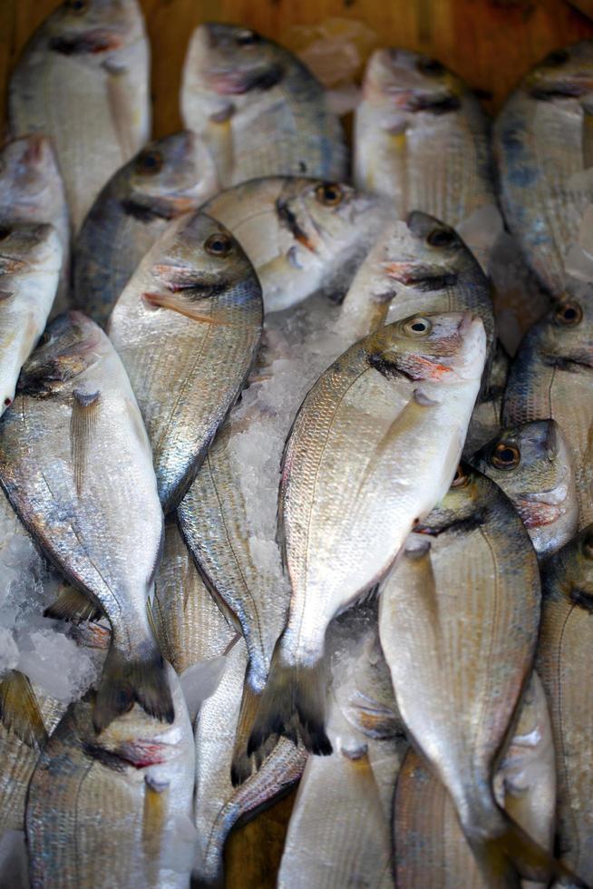 poissons de fruits de mer frais crus sur le marché photo
